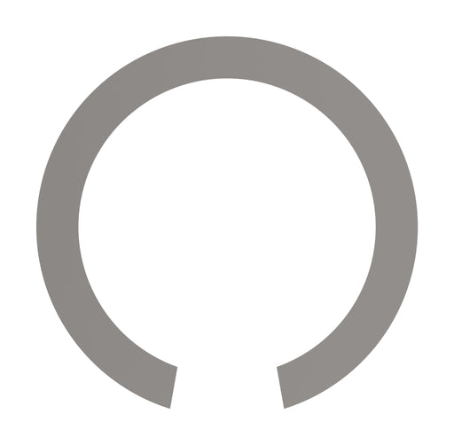 193144 - RING, SNAP(STEEL)